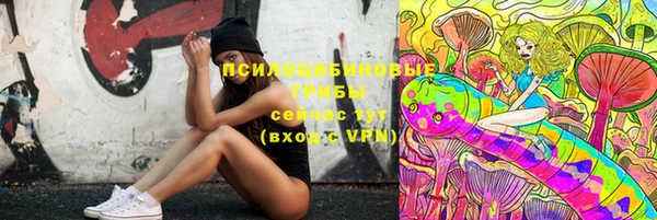 шишки Майский
