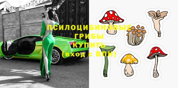 хмурый Чита