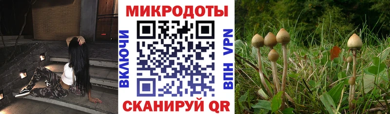 blacksprut зеркало  Урус-Мартан  Галлюциногенные грибы MAGIC MUSHROOMS 