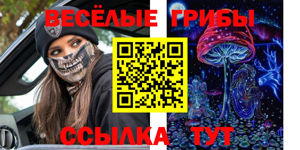 Галлюциногенные грибы Cubensis  Псилоцибиновые грибы Magic Shrooms  Вход с VPN  Урус-Мартан 