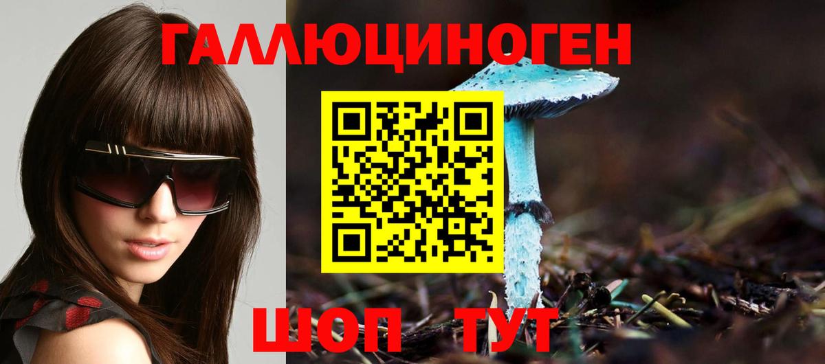 Псилоцибиновые грибы Psilocybine cubensis Урус-Мартан