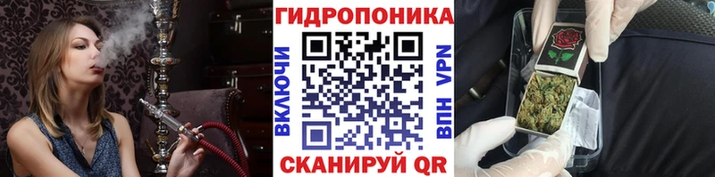 Бошки Шишки Bruce Banner  OMG как войти  Урус-Мартан  что такое наркотик 